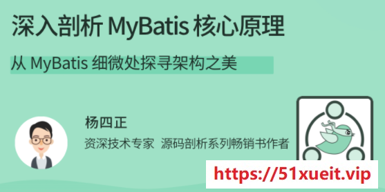 拉勾教育深入剖析 MyBatis 核心原理
